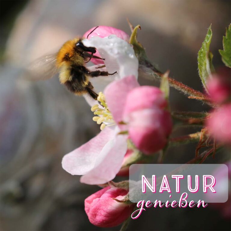 20210501_173912143_iOS