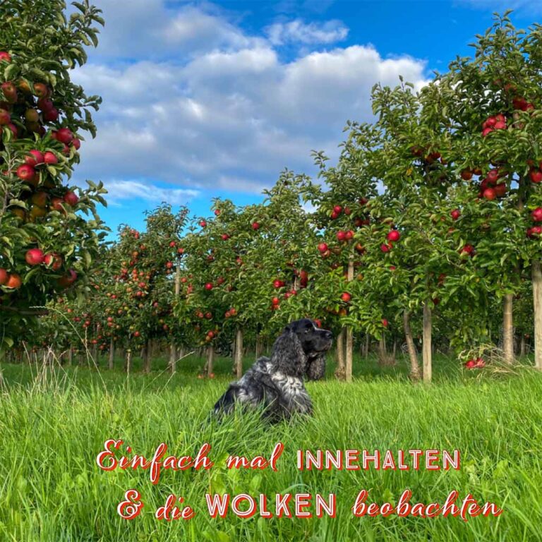 B669D737-5B09-4888-8A5E-DB9765DA26D9