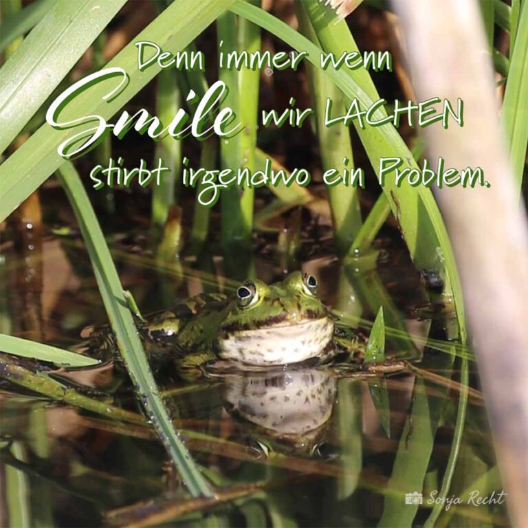 ED7D0B5F-93E9-49BF-BE1A-4EB1FA682B1D