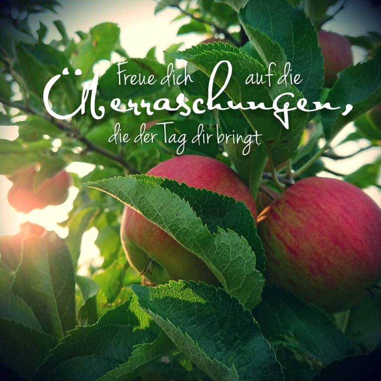 Fotor_150407376063783