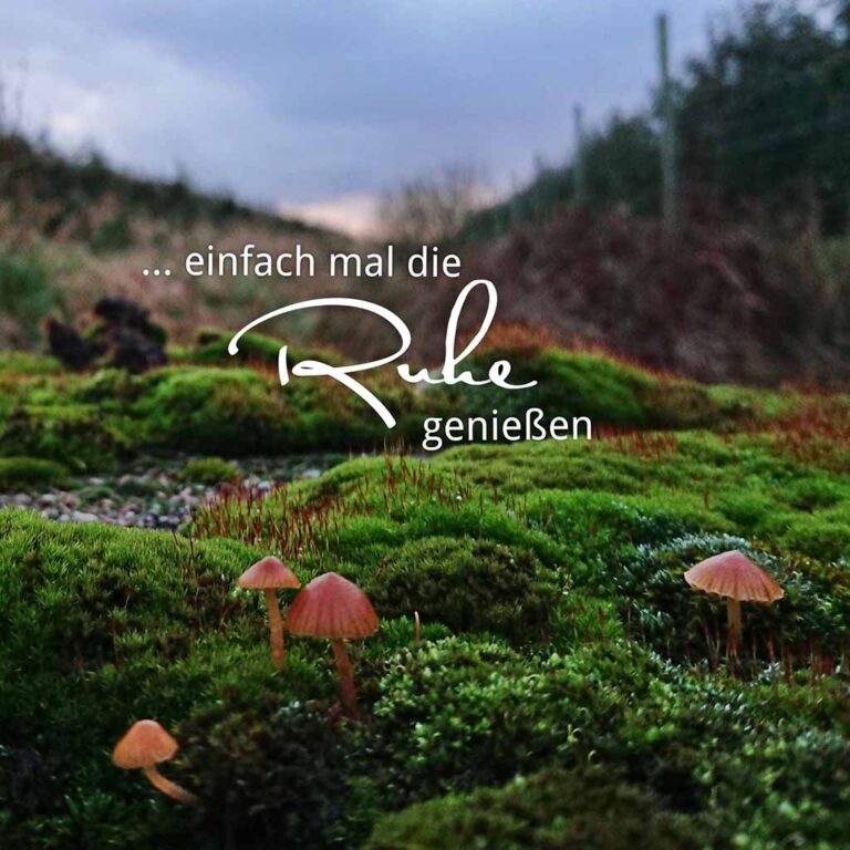 Fotor_151032933253039